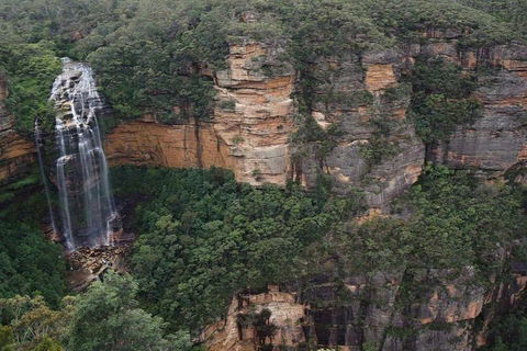 Blue Mountains Private Tour With Kangaroos & Koala Encounter - Northern Rivers Accommodation 2