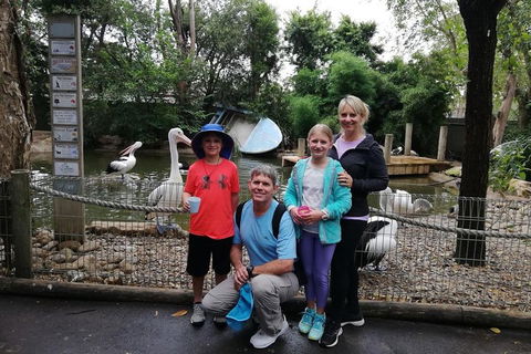 Blue Mountains Private Tour With Kangaroos & Koala Encounter - Northern Rivers Accommodation 4