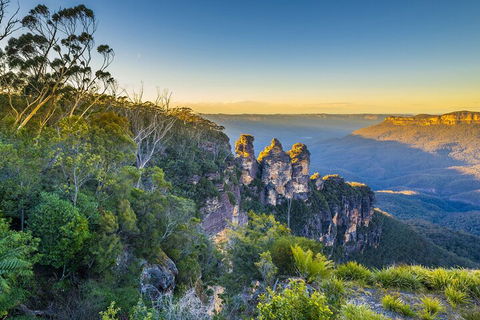 Blue Mountains Private Tour With Kangaroos & Koala Encounter - Northern Rivers Accommodation 5