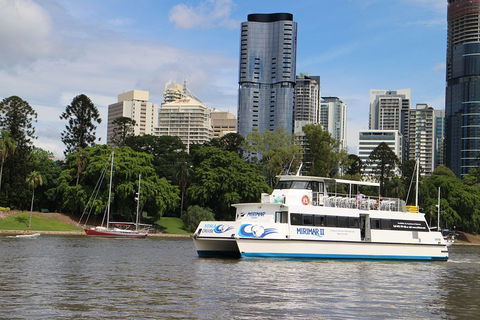 Lone Pine Koala Sanctuary Admission With Brisbane River Cruise - Northern Rivers Accommodation 2