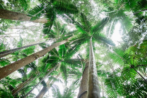Fraser Explorer K'gari 2-Day Tour - Northern Rivers Accommodation 2