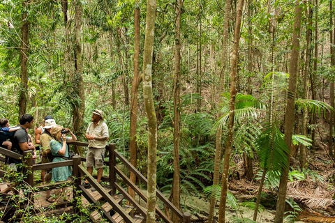 Fraser Explorer K'gari 2-Day Tour - Northern Rivers Accommodation 5