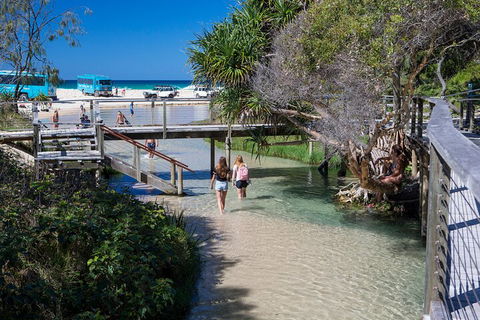 All-Inclusive Fraser Island Day Tour - Northern Rivers Accommodation 4