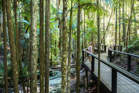 All-Inclusive Fraser Island Day Tour - Northern Rivers Accommodation 5