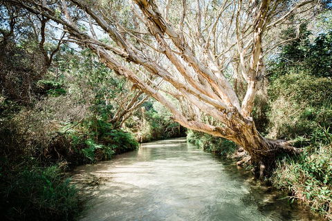 3-Day Fraser Island Resort Package - Northern Rivers Accommodation 5