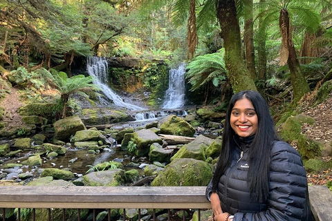 Day Tour In Mt. Field, Mt. Wellington, Bonorong Wildlife Sanctuary And Richmond - Northern Rivers Accommodation 5