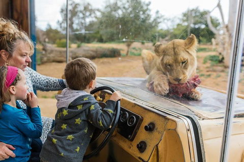 Werribee Open Range Zoo General Admission Ticket - Northern Rivers Accommodation 4