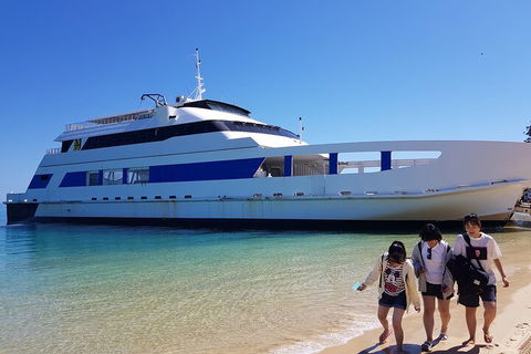 Moreton Island Day Trip (Kayak, Snorkel & Sandboard) Frm Brisbane Or Gold Coast - Northern Rivers Accommodation 0