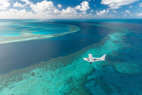 Scenic Flight - Great Barrier Reef, Heart Reef, Whitehaven Beach & Hill Inlet! - Northern Rivers Accommodation 3