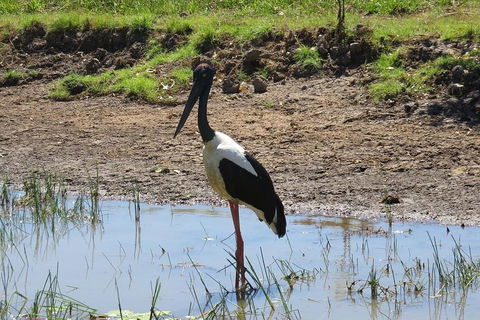 Darwin To Kakadu Day Trip By Air Including Yellow Water Cruise - Northern Rivers Accommodation 0