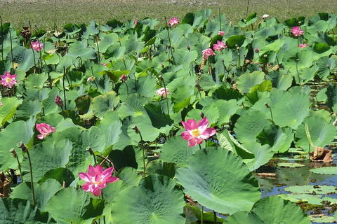 Darwin To Kakadu Day Trip By Air Including Yellow Water Cruise - Northern Rivers Accommodation 2