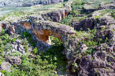 Darwin To Kakadu Day Trip By Air Including Yellow Water Cruise - Northern Rivers Accommodation 4