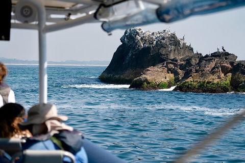 Julian Rocks Byron Bay Cruise - Northern Rivers Accommodation 2