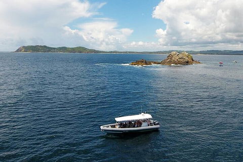 Julian Rocks Byron Bay Cruise - Northern Rivers Accommodation 5