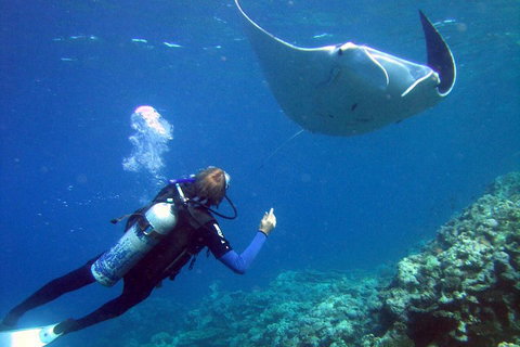 3 Day Whitsundays Sailing And Diving Adventure: Kiana - Northern Rivers Accommodation 3