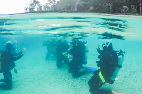 3 Day Whitsundays Sailing And Diving Adventure: Kiana - Northern Rivers Accommodation 4