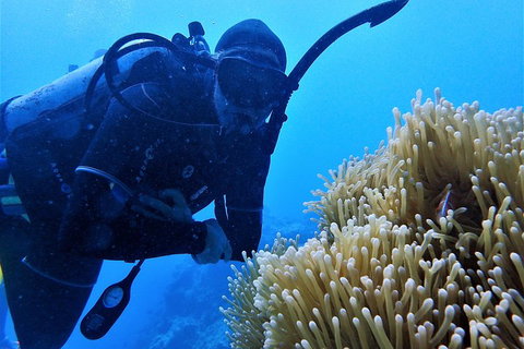 3 Day Whitsundays Sailing And Diving Adventure: Kiana - Northern Rivers Accommodation 5