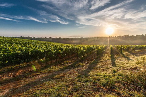 Perth To Margaret River Wine Tour - 2 Day Premium Boutique Wine Tour Experience - Northern Rivers Accommodation 0