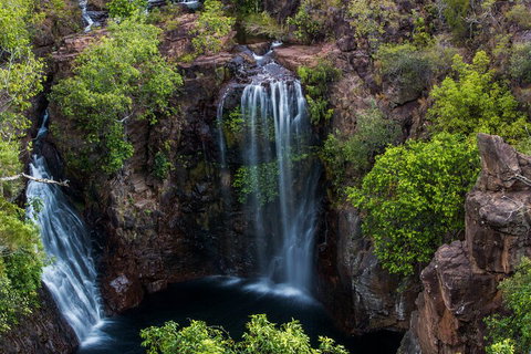 Litchfield National Park - Top End Day Tour From Darwin - Northern Rivers Accommodation 2