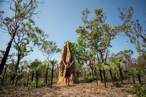 Litchfield National Park - Top End Day Tour From Darwin - Northern Rivers Accommodation 5