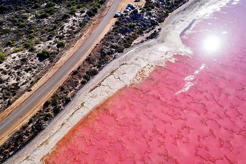 7-Day Exmouth Explorer Via Pinnacles Monkey Mia Ningaloo Reef Returning To Perth - Northern Rivers Accommodation 0