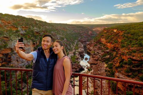 7-Day Exmouth Explorer Via Pinnacles Monkey Mia Ningaloo Reef Returning To Perth - Northern Rivers Accommodation 5