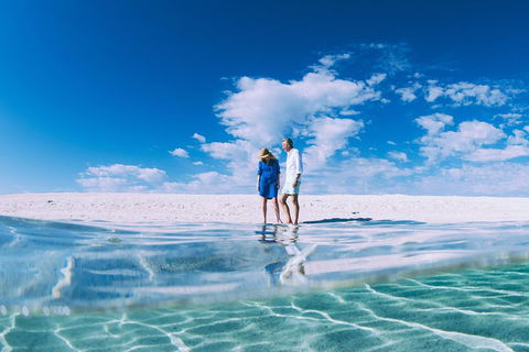 4-Day Coastal Loop Via Monkey Mia Wild Dolphins Kalbarri Pinnacles Perth Return - Northern Rivers Accommodation 0