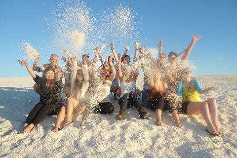 4-Day Coastal Loop Via Monkey Mia Wild Dolphins Kalbarri Pinnacles Perth Return - Northern Rivers Accommodation 1