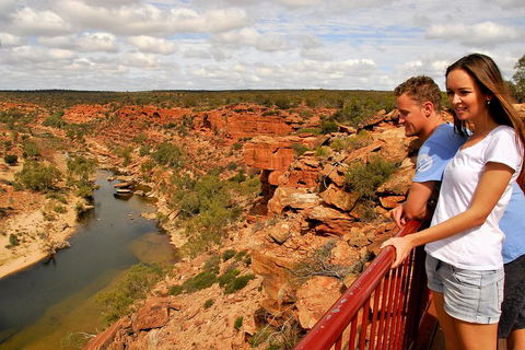 4-Day Coastal Loop Via Monkey Mia Wild Dolphins Kalbarri Pinnacles Perth Return - Northern Rivers Accommodation 3