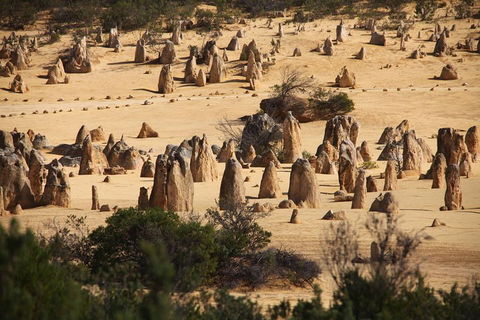 Pinnacles Sunset Dinner And Stargazing Experience A Small Group Tour - Northern Rivers Accommodation 0