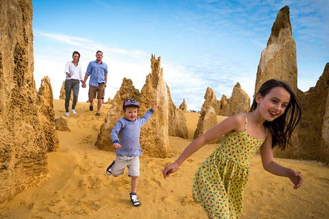 Pinnacles Sunset Dinner And Stargazing Experience A Small Group Tour - Northern Rivers Accommodation 3