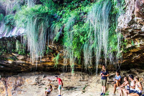 Sunset Blue Mountains Wilderness & Wildlife Tour Without The Crowds - Northern Rivers Accommodation 1