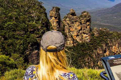 Sunset Blue Mountains Wilderness & Wildlife Tour Without The Crowds - Northern Rivers Accommodation 4