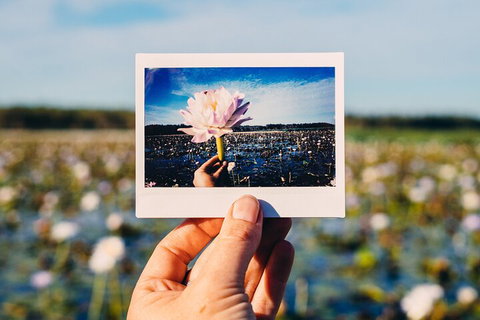 Kakadu Wilderness Escape - Top End Day Tour From Darwin - Northern Rivers Accommodation 3