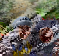 Small-Group Great Ocean Road and 12 Apostles Full-Day Tour from Melbourne - Northern Rivers Accommodation