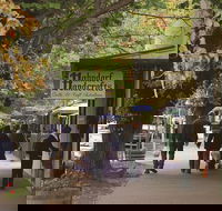 Adelaide Highlights Hahndorf  McLaren Vale Wine Tasting and Sightseeing Tour - Northern Rivers Accommodation
