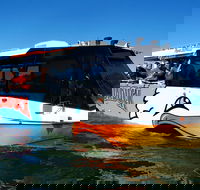 Paradise Jet Boating and Aquaduck Combo - Northern Rivers Accommodation