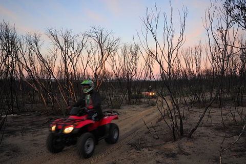 Kangaroo Island Quad Bike (ATV) Tours - Northern Rivers Accommodation 1