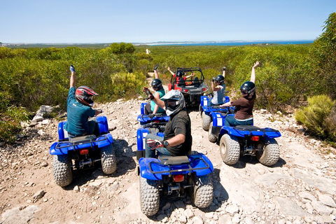Kangaroo Island Quad Bike (ATV) Tours - Northern Rivers Accommodation 3