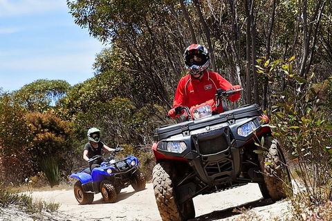Kangaroo Island Quad Bike (ATV) Tours - Northern Rivers Accommodation 5