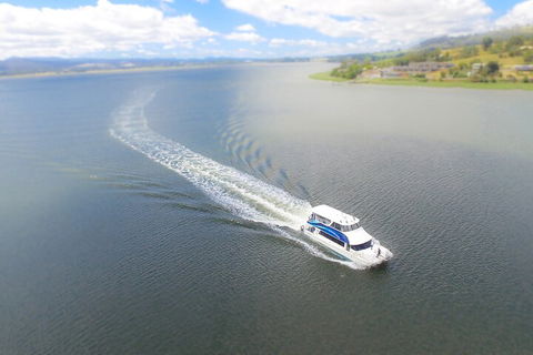 2.5 Hour Afternoon Discovery Cruise Including Cataract Gorge Departs At 1: 30 Pm - Northern Rivers Accommodation 0