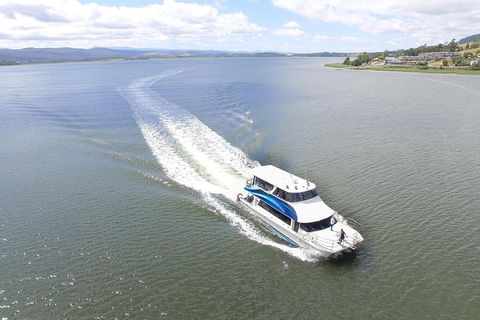 2.5 Hour Afternoon Discovery Cruise Including Cataract Gorge Departs At 1: 30 Pm - Northern Rivers Accommodation 4