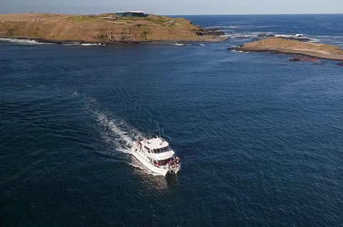 Phillip Island Seal-Watching Cruise - Northern Rivers Accommodation 1