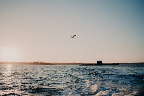 Phillip Island Twilight Cruise - Northern Rivers Accommodation 1