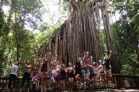 Atherton Tablelands Waterfalls Tour From Cairns - Northern Rivers Accommodation 5