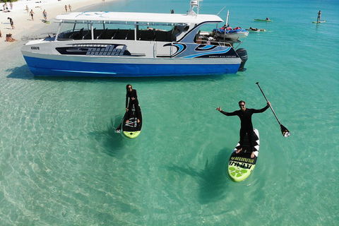 Whitsunday Bullet Day Trip - Whitehaven Beach And Snorkelling - Northern Rivers Accommodation 4