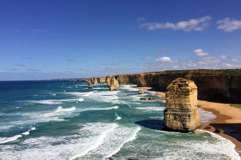 Great Ocean Road Reverse Itinerary PREMIUM Tour - Northern Rivers Accommodation 2