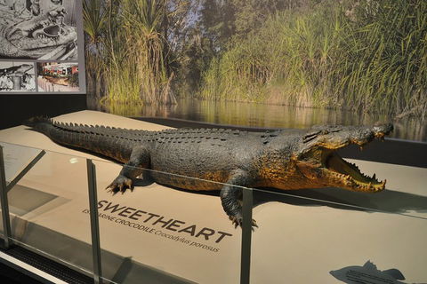 Explore Darwin City Sights Including Key Attractions - Northern Rivers Accommodation 2