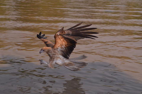 Litchfield And Jumping Crocodiles Full Day Trip From Darwin - Northern Rivers Accommodation 0