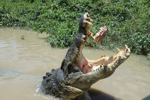 Litchfield And Jumping Crocodiles Full Day Trip From Darwin - Northern Rivers Accommodation 3